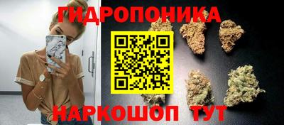 прущие крисы Тула