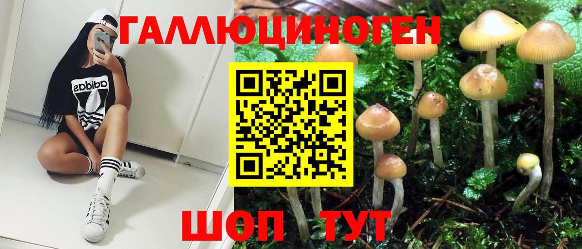 Псилоцибиновые грибы Psilocybe  Вход с VPN  Нижний Новгород 